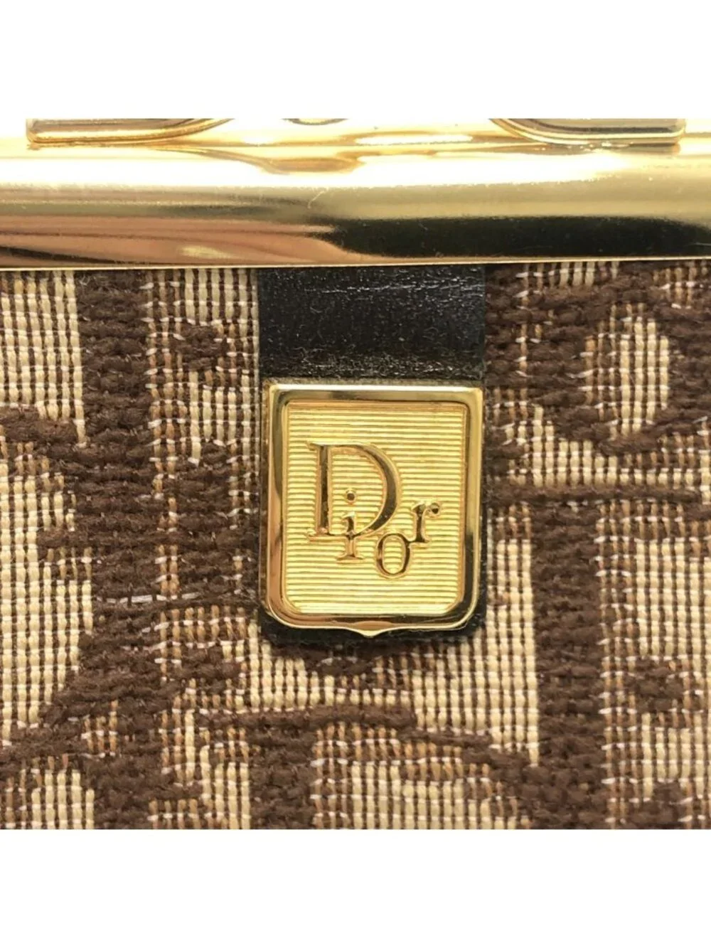 Dior brand model